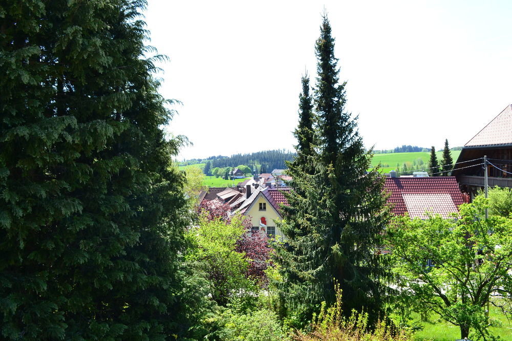 Black Forest Rooms Grafenhausen Exteriér fotografie